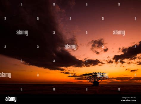 Africa A Classic African Sunset Hi Res Stock Photography And Images Alamy