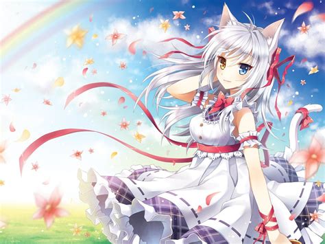 Anime Cat Girl With White Hair Wallpaper Stuff To Buy