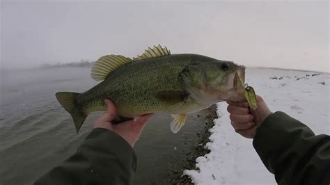 Winter Bass Fishing With Ice Rods Boundary Damn Sk Youtube