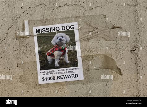 Simple Science: How to Make a Volcano with Kids