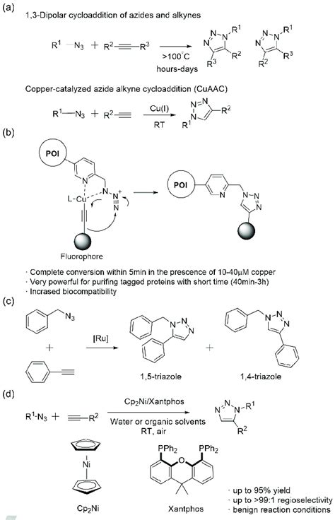 Metal Catalyzed Azide Alkyne Cycloaddition A General Scheme Of