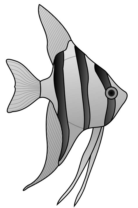 Collection Of Angelfish Clipart Free Download Best Angelfish Clipart