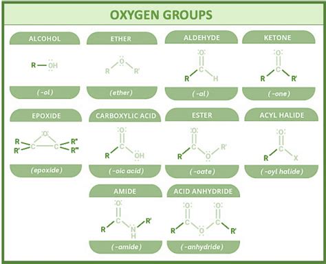 Understanding Functional Groups In Primary Education