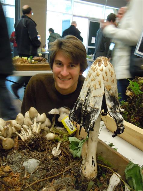The Oregon Trail Wild Mushroom Show