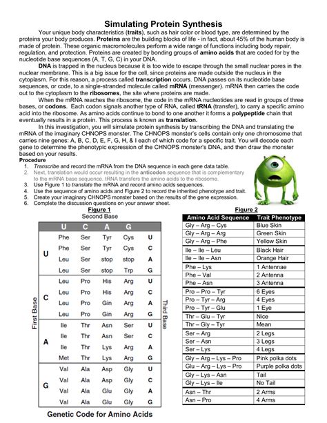 Deletion and insertion may cause what's called a frameshift, meaning the reading frame changes, changing the amino acid sequence. Protein Synthesis Simulation Worksheet Answers