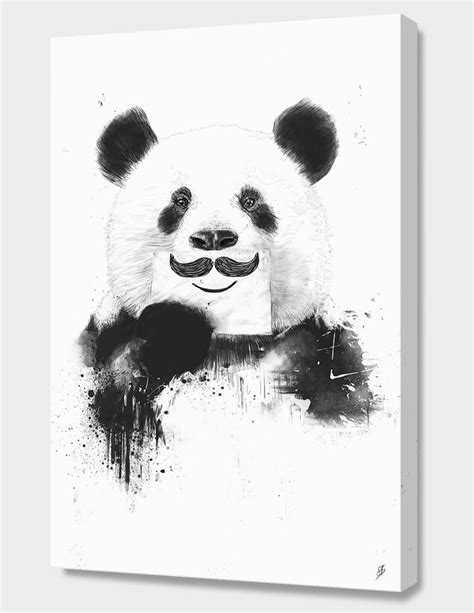 Funny Panda Canvas Print By Balázs Solti Numbered Edition From 59