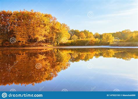 Beautiful Scarlet Yellow Orange Trees At The River Coast Reflect In