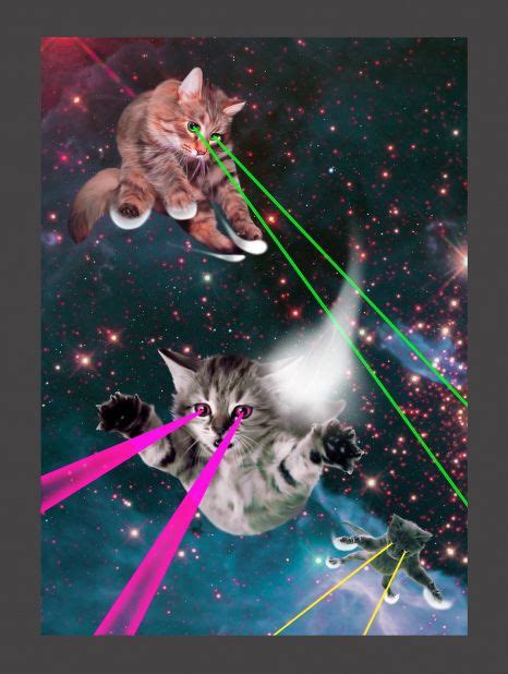 Podobny Obraz Space Cat Cat Laser Funny Cat Pictures