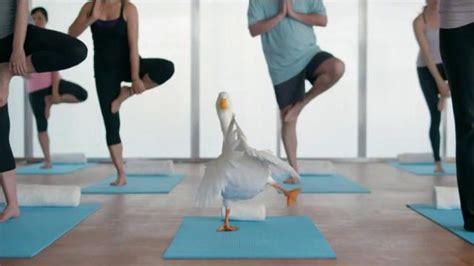 Aflac Tv Spot Duck Does Yoga Ispottv