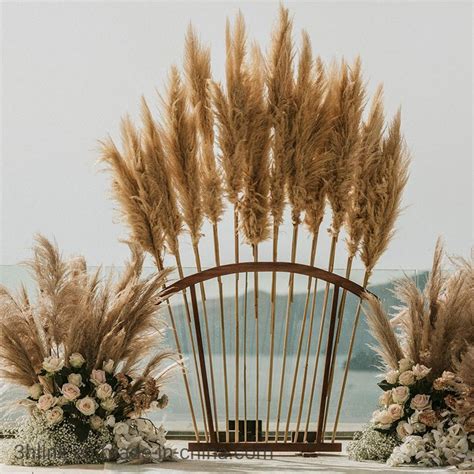 White Pampas Grass Everlasting Flower Tall Centerpieces Plume Grass