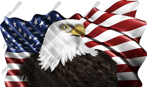 Waving American Flag Eagle Head 2 Cloth Aurora Graphics