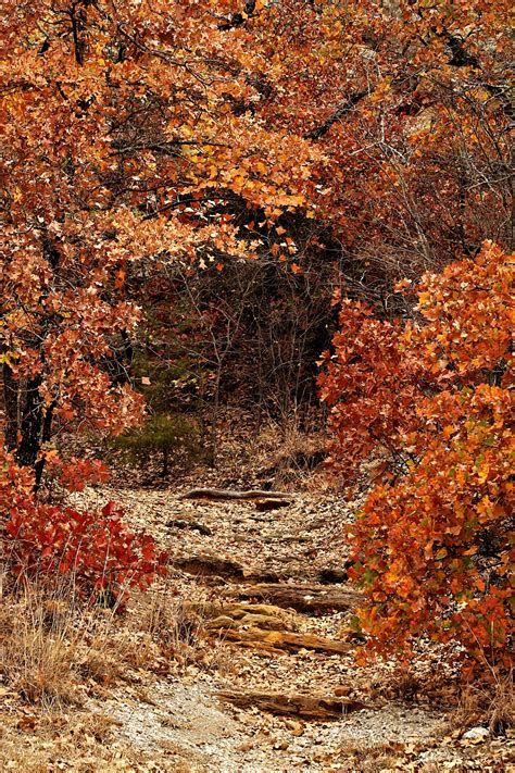 Rocky Path In Fall Free Stock Photo Public Domain Pictures