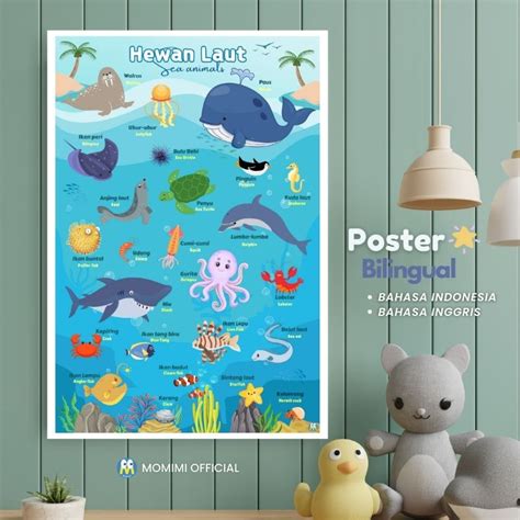 Childrens Educational Sea Animal Poster Sea Animal Poster Toodler