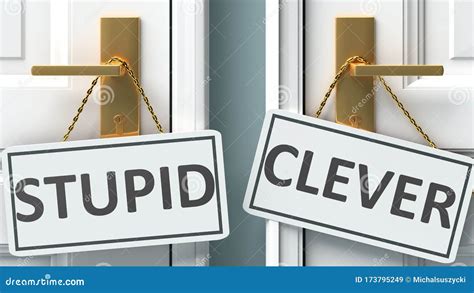 Stupid Or Clever As A Choice In Life Pictured As Words Stupid Clever