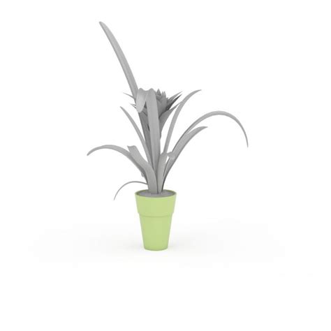 Indoor Plants With Broad Leaves 3d Model 3ds Max Files Free Download