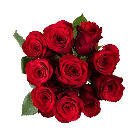 Red Speciality Roses 10 Stems Za