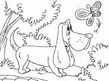 Hound Dog Coloring sketch template