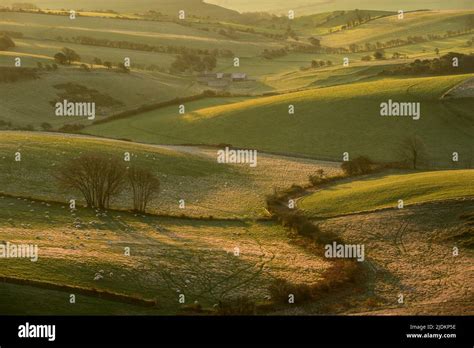 Rural Landscape Portesham Dorset Uk Stock Photo Alamy