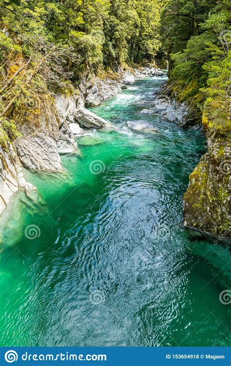 Haast River Landsborough Valley New Zealand Stock Photo Image Of