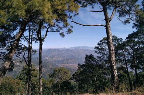 A Quiet Paradise Near Nainital As The Pictures Saymukteshwar The