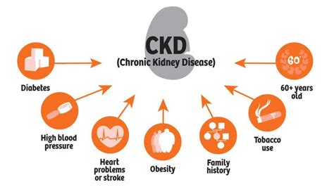 For those who progress to. Wiring Diagram: 30 Pathophysiology Of Chronic Kidney ...