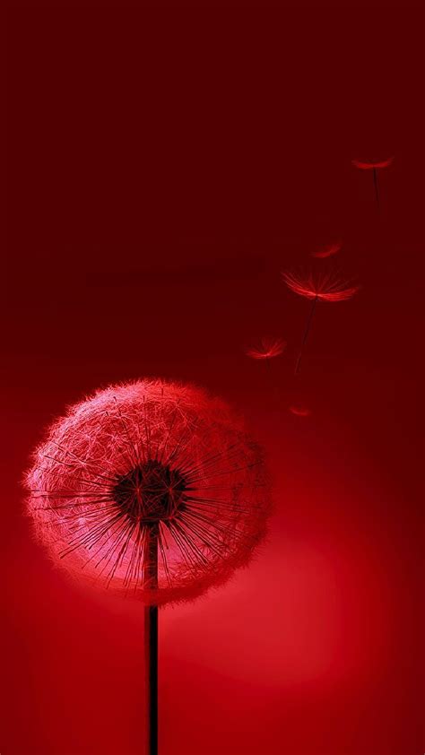 Feel free to download, share. 720x1280 HD Wallpapers