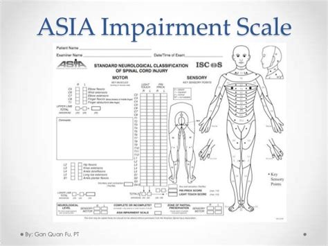 Asia Impairment Scale Examples Video Asia Impairment Scale Ucteach