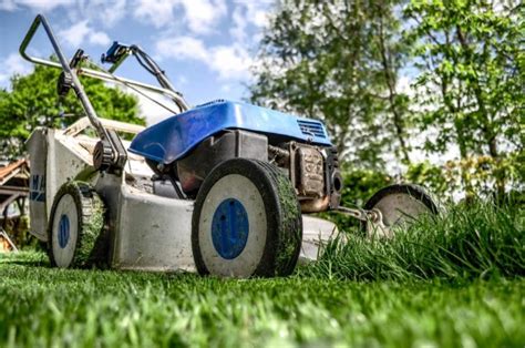 Acá Están Todos Los Secretos Para Que El Pasto Del Jardín Se Mantenga