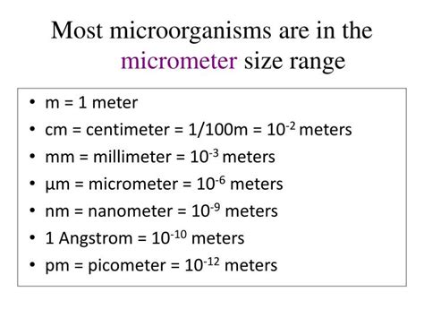 Mikrometer Nanometer Millimeter Rheoplanktonnecersite