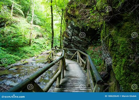 Hiking Trail Along A Brook In The Forest With Wooden Bridges Stock