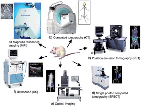 Standard Molecular Imaging Instruments A Magnetic Resonance Imaging