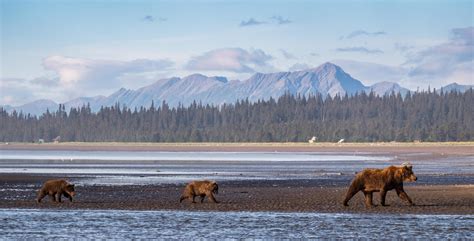 Lake Clark National Park — The Greatest American Road Trip