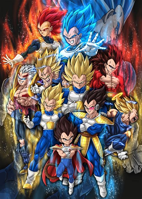Vegeta All Forms Wallpapers Wallpaper Cave