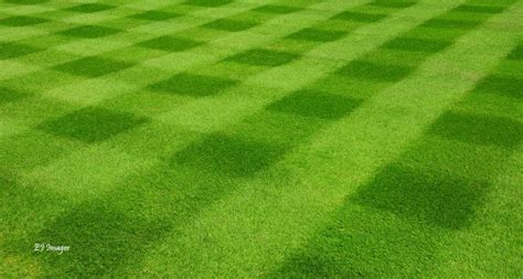 Different Lawn Mowing Patterns Part Care Tips Mower Kelseybash Ranch