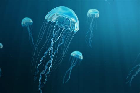 10 Cool Facts About Jellyfish You Didnt Know Farmers Almanac Plan