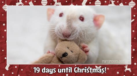 Christmas Countdown 2021 Marty Mouse House