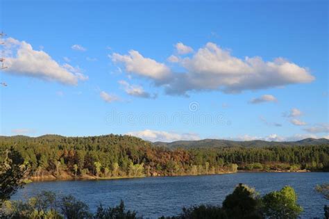 Mountain Lake Surrounded By Pine Trees Stock Photo Image Of Landscape