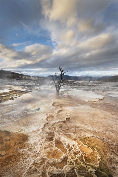 mammoth hot springs yellowstone national park alan majchrowicz photography