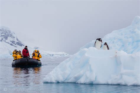 Best Time To Visit Antarctica Month By Month Breakdown