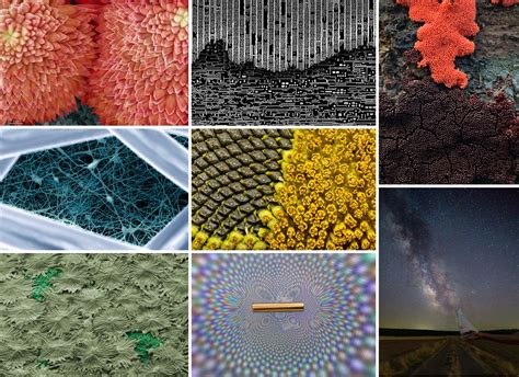 fotciencia anuncia las mejores fotografías científicas de 2021