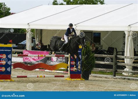 Equitation Contest Horse Jumping Over Obstacle Editorial Stock Image