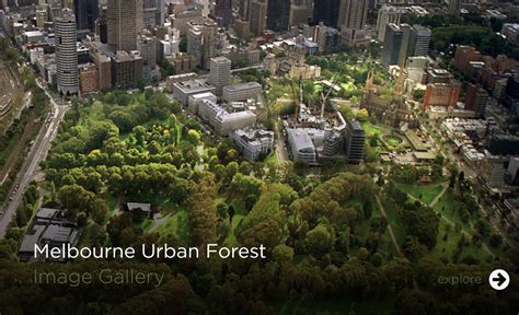 Melbourne Urban Forest Visual