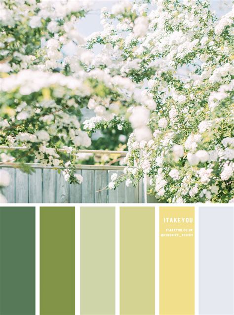 Yellow Green Color Palette
