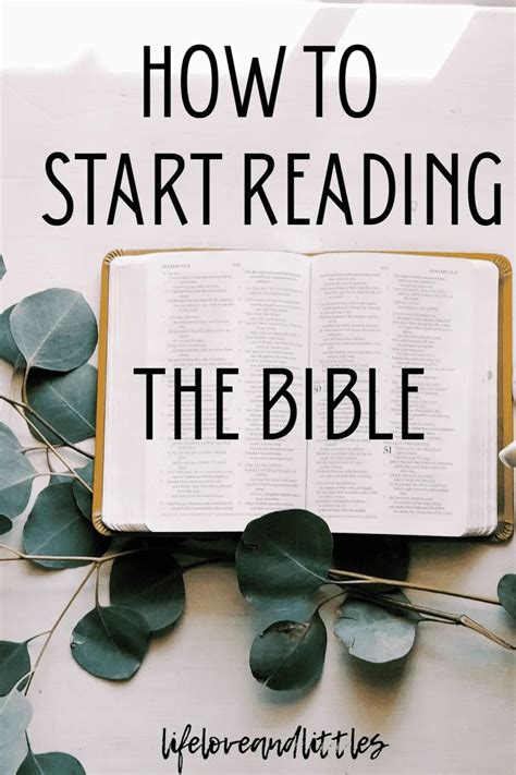 How To Start Reading The Bible Joy In His Grace