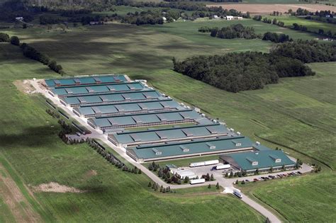 Investigation: Largest Factory Farms Producing USDA Certified 