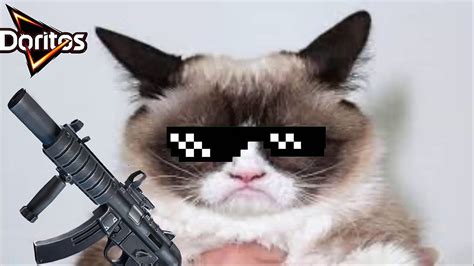 Mlg Grumpy Cat Video Dailymotion