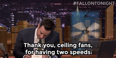 The Best Of Jimmy Fallon Thank You Notes Pics