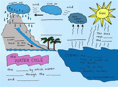 Water Cycle For Kids 6