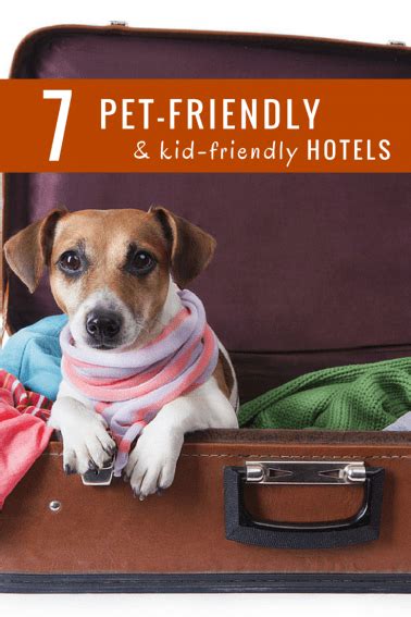 We get a lot of inquiries about specific hotel chains' pet policies. 7 Great Hotel Chains for Pet-Friendly Travel - Trekaroo Blog