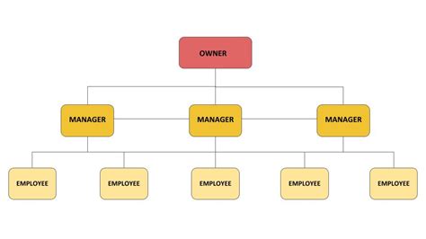 6 Examples Of Organisational Charts For Smes